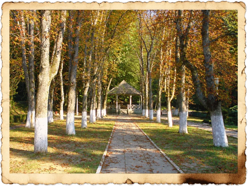 The park in Băile Govora